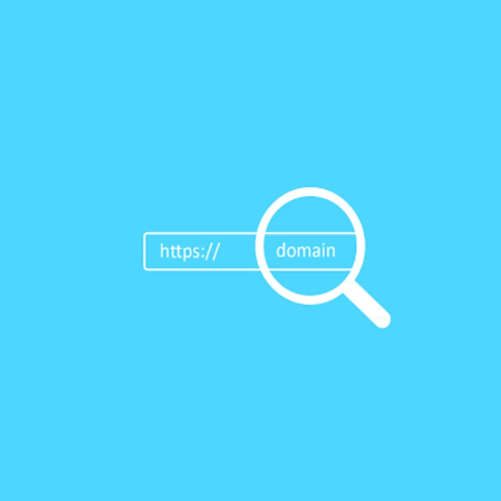 seo'da domain yaşı önemli mi?